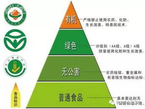 政策重磅！決定農化行業未來十年走向的國家級政策與人工智能雙創服務平臺
