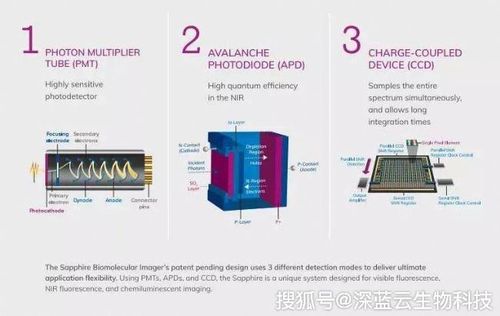 APD與PMT在光電器件中區(qū)別解析